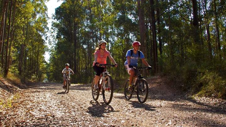 Family rides bicycles in Daisy Hill Conservation Park